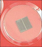 Round Magnetic 3" Clear Frame