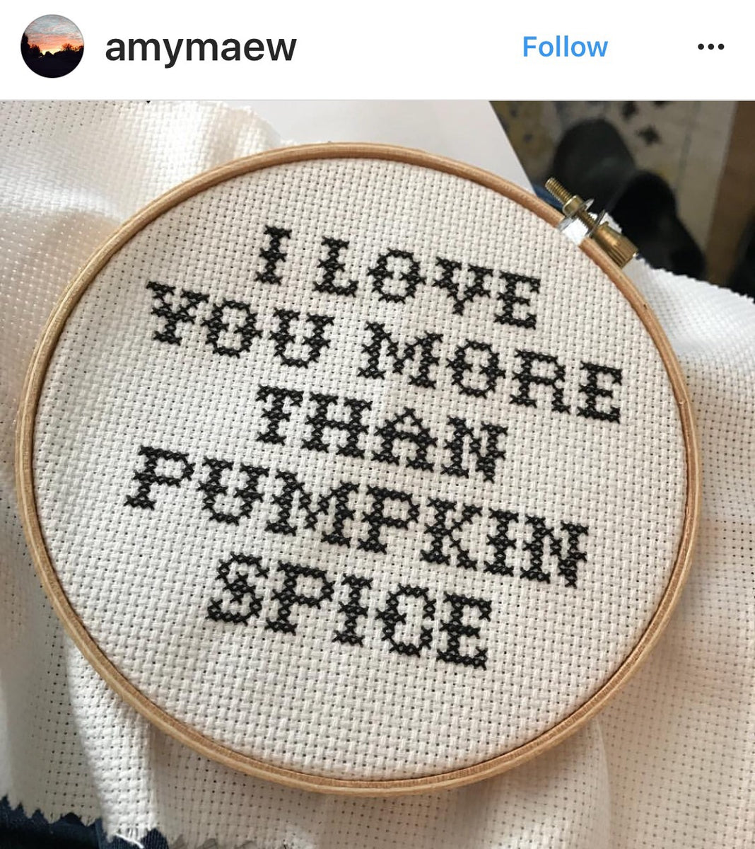 I Love You More Than Pumpkin Spice – Subversive Cross Stitch