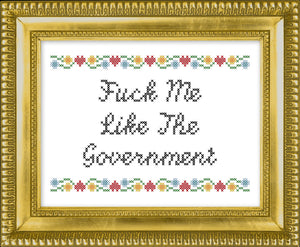 Fuck Me Like The Government