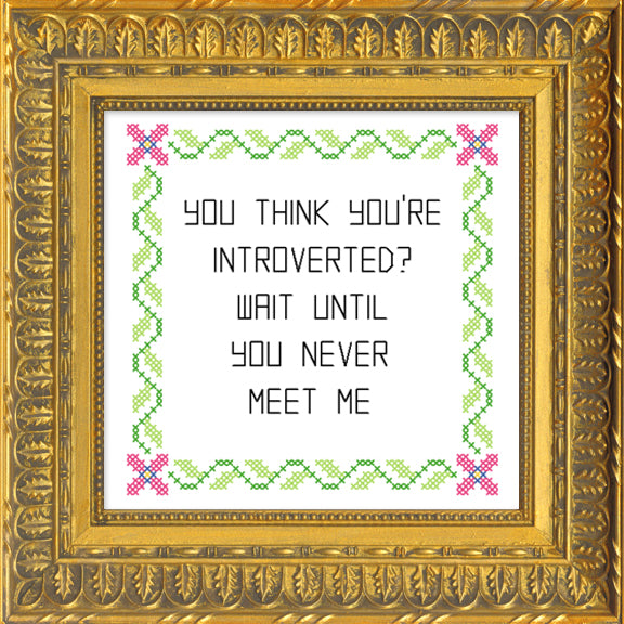 You Think You're Introverted?... – Subversive Cross Stitch